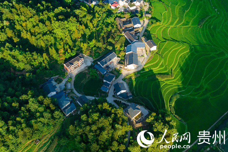 沐浴在夕陽(yáng)之中的花茂村。人民網(wǎng) 涂敏攝