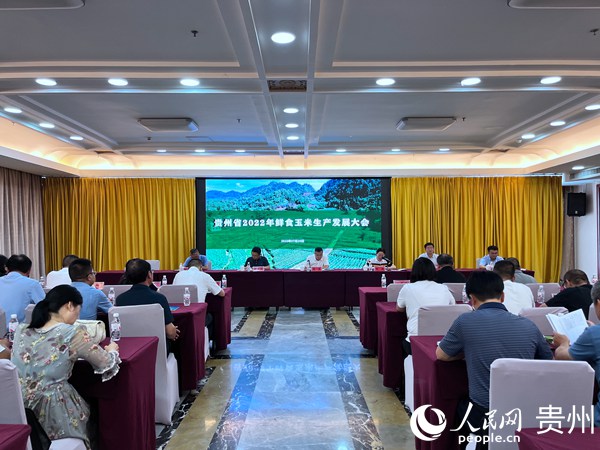 貴州省2022年鮮食玉米生產(chǎn)發(fā)展大會現(xiàn)場。人民網(wǎng) 陳潔泉攝
