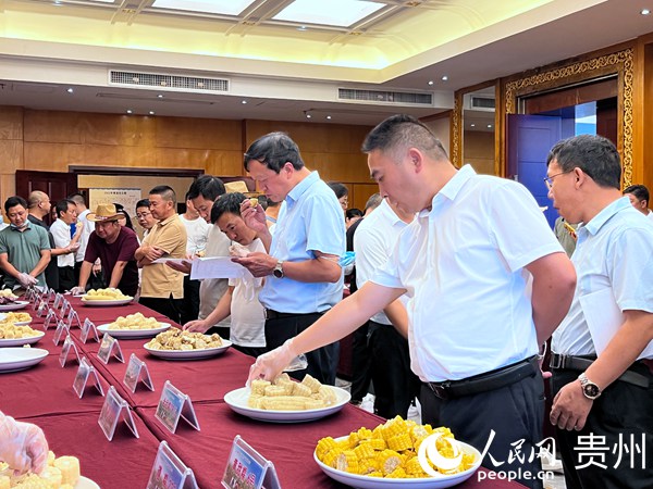 鮮食玉米品鑒會現(xiàn)場。人民網(wǎng) 陳潔泉攝