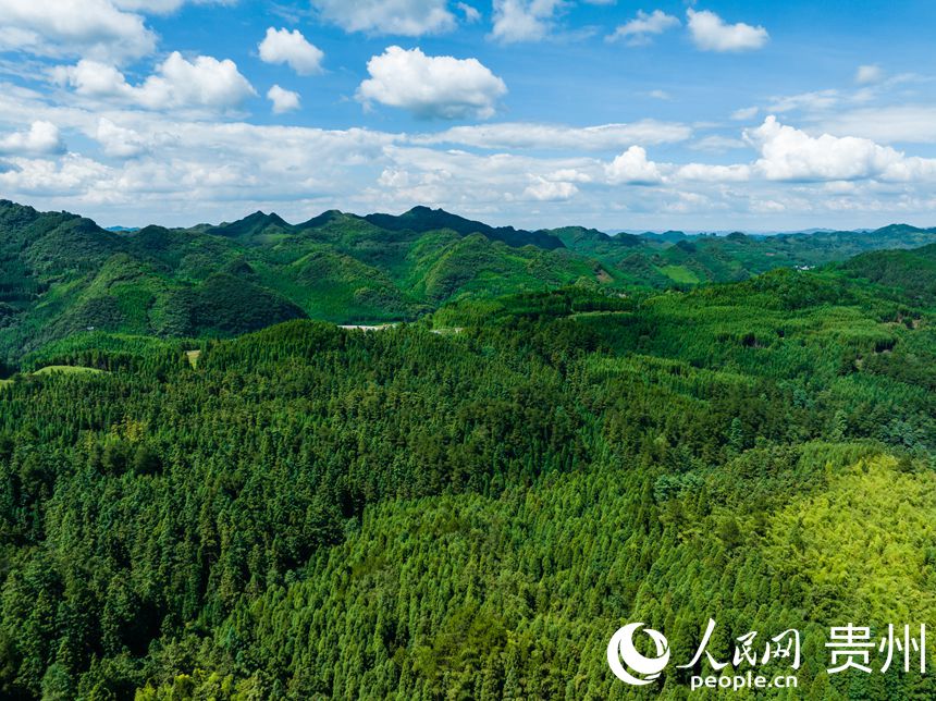 從空中俯瞰林場。人民網(wǎng) 陽茜攝