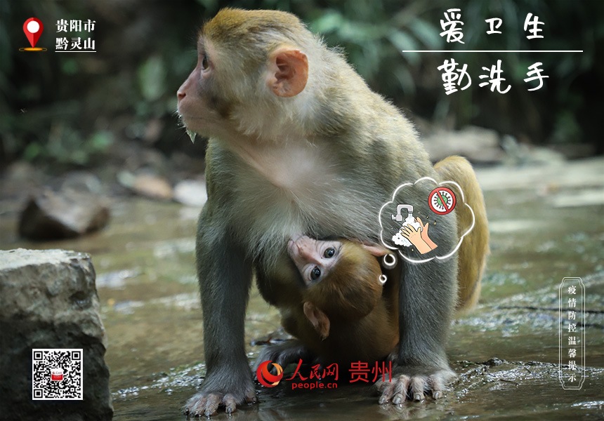 預(yù)防新冠光有媽媽可不夠！