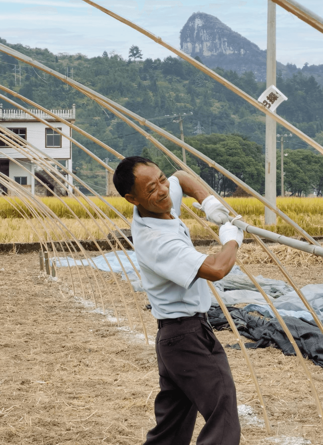 搭建第一個樣板大棚。