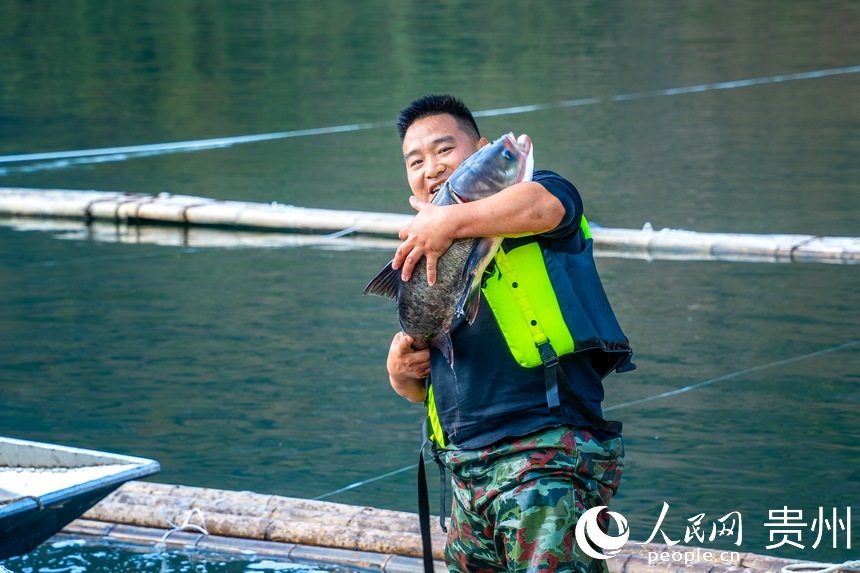 工作人員展示收獲鳙魚(yú)。人民網(wǎng)記者 涂敏攝