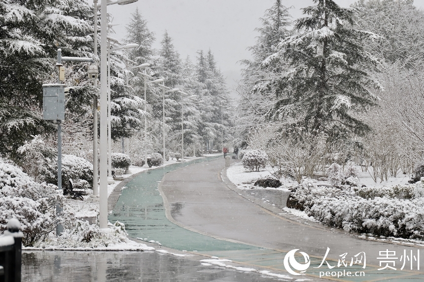 觀山湖公園雪景。人民網(wǎng) 顧蘭云攝