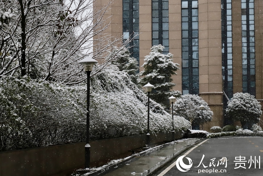 人行道雪景。人民網(wǎng) 顧蘭云攝 