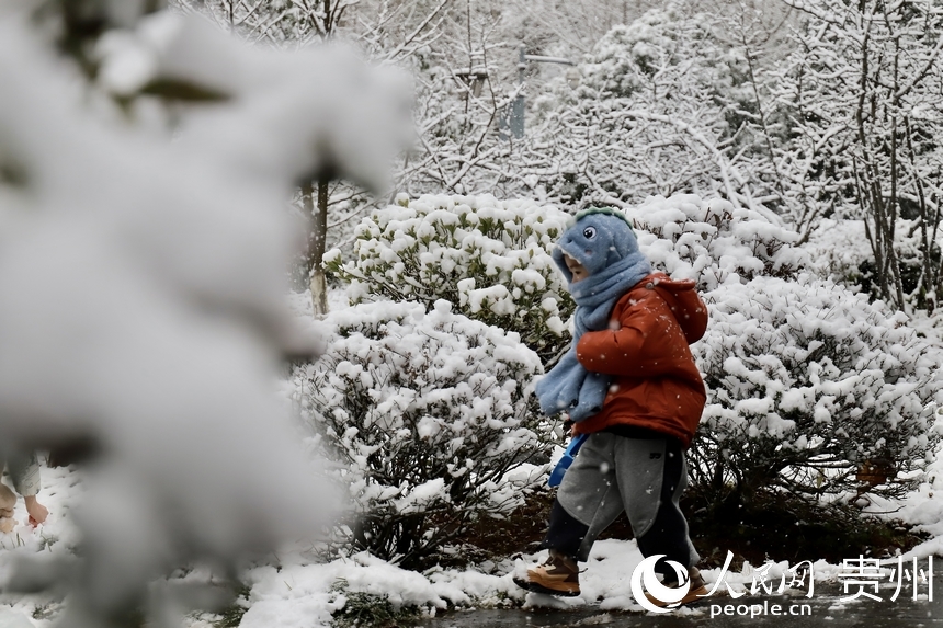小朋友在觀山湖公園內(nèi)玩雪。人民網(wǎng) 顧蘭云攝
