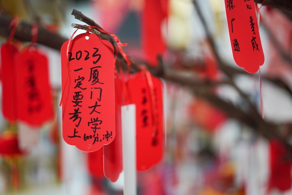 活動現(xiàn)場。徐其飛攝