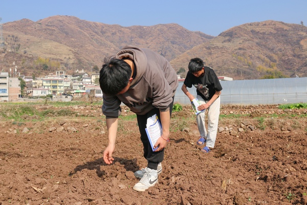 2月6日，威寧縣金鐘鎮(zhèn)夸都社區(qū)種植早熟玉米的群眾在放種。趙慶能攝