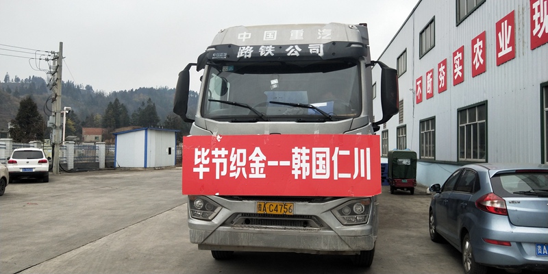 織金南瓜產(chǎn)品啟運(yùn)銷往韓國(guó)