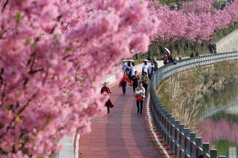 4.錦屏縣的濱江健身步道。貴州省衛(wèi)生健康委員會供圖