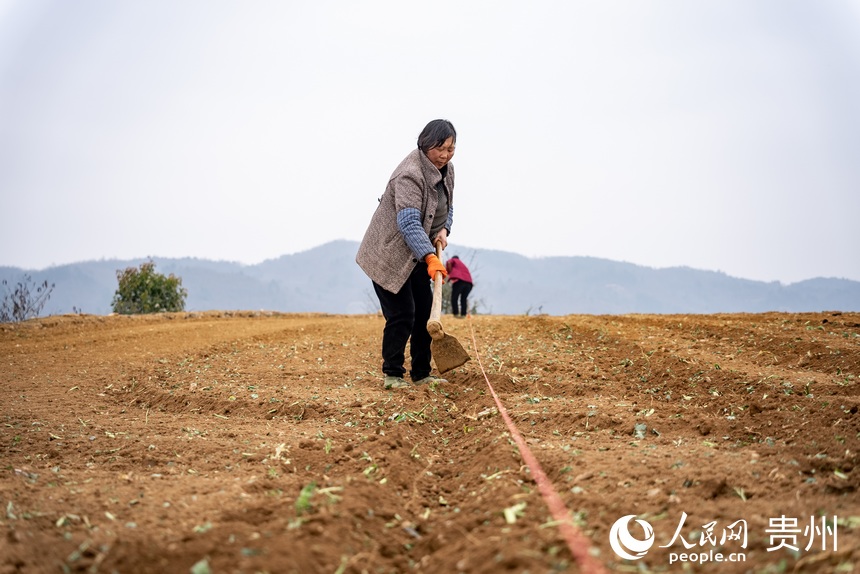 村民正在整理土地。人民網(wǎng) 涂敏攝