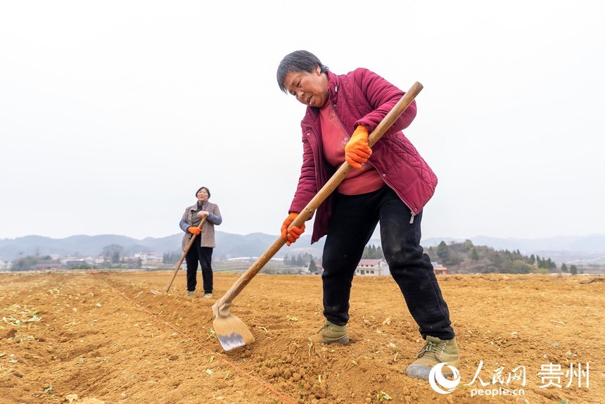 村民正在整理土地。人民網(wǎng) 涂敏攝