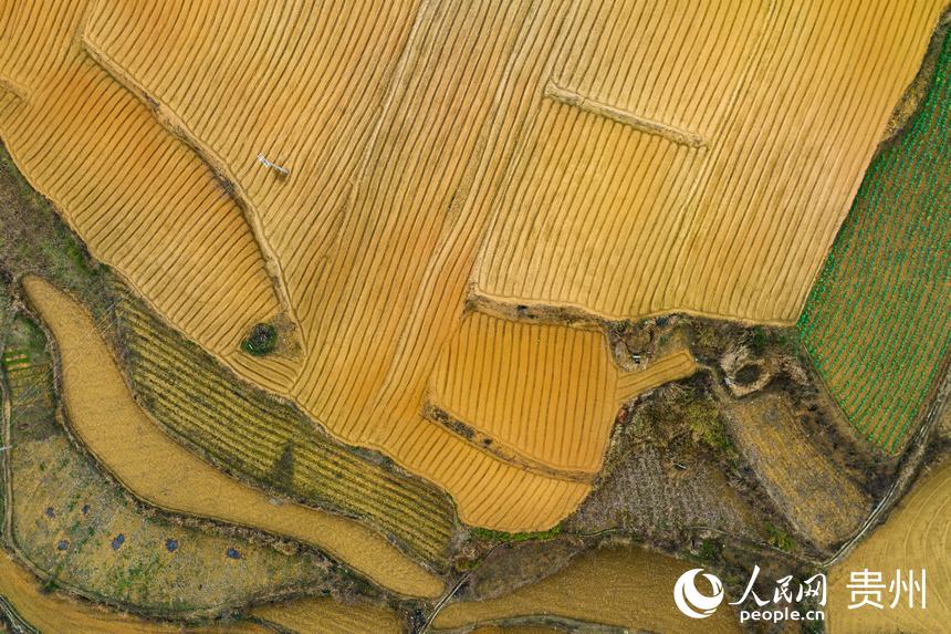 航拍整理后的土地。人民網(wǎng) 涂敏攝