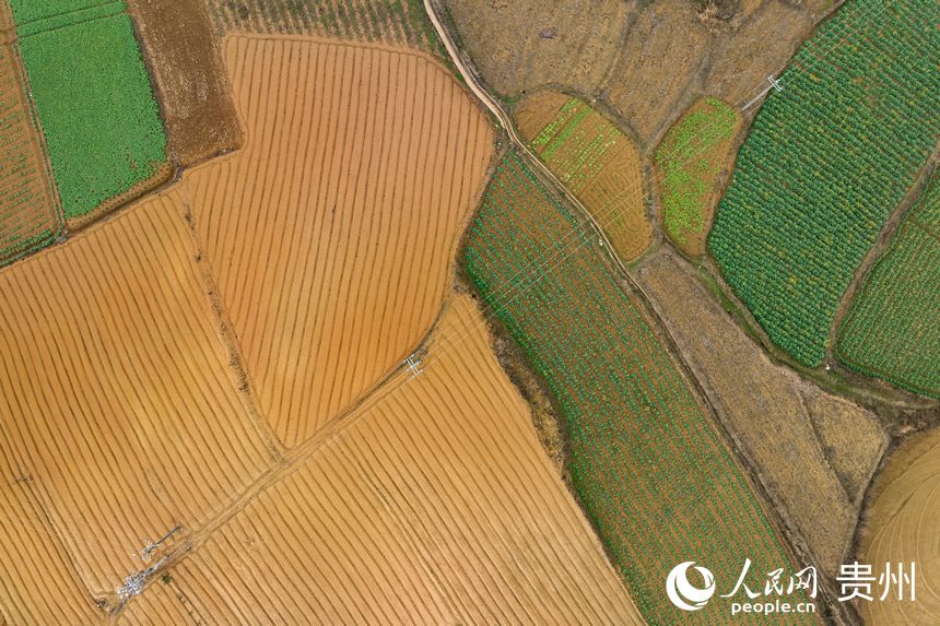 航拍整理后的土地。人民網(wǎng) 涂敏攝