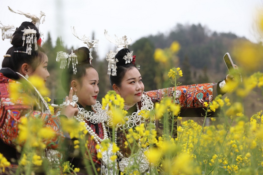 2023年2月16日，施秉縣馬號鎮(zhèn)老縣村油菜花盛開，游人在花間賞花游玩，拍照打卡。