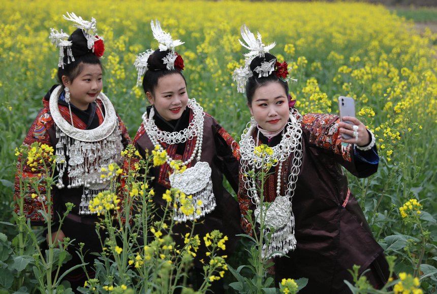 2023年2月16日，施秉縣馬號(hào)鎮(zhèn)老縣村油菜花盛開，游人在花間賞花游玩，拍照打卡。