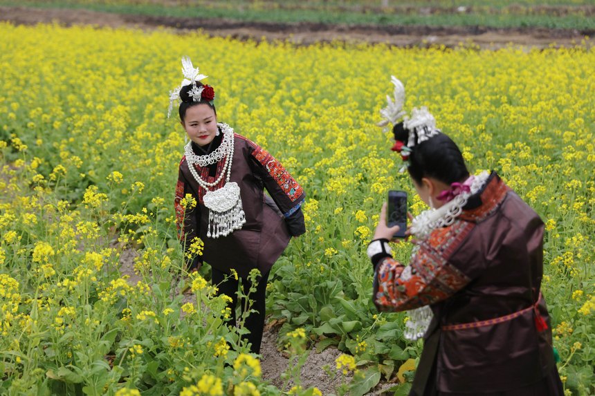 2023年2月16日，施秉縣馬號(hào)鎮(zhèn)老縣村油菜花盛開(kāi)，游人在花間賞花游玩，拍照打卡。