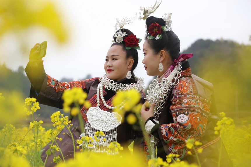 2023年2月16日，施秉縣馬號鎮(zhèn)老縣村油菜花盛開，游人在花間賞花游玩，拍照打卡。