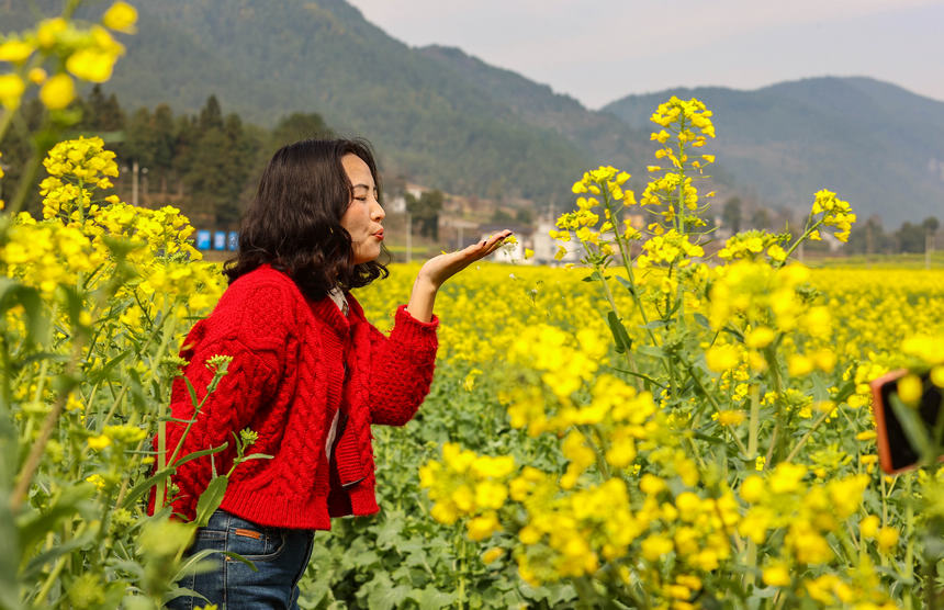 游客在油菜花間游玩。