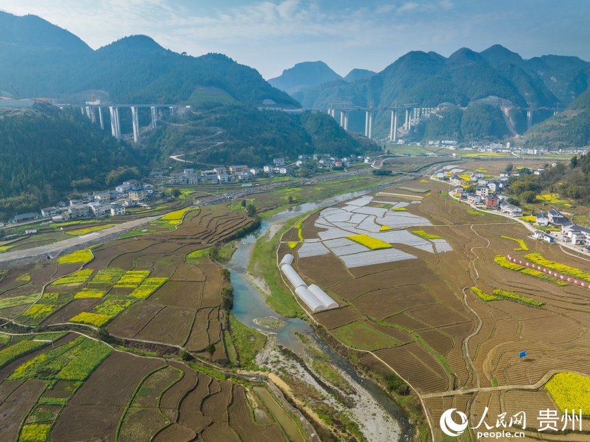 蜿蜒的河流穿過高粱種植基地。人民網(wǎng) 陽茜攝