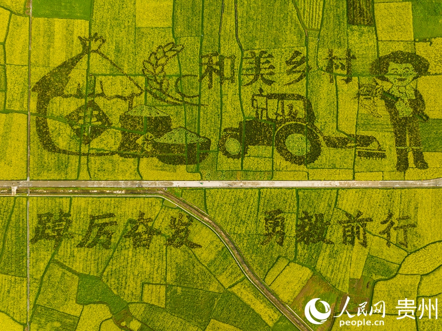 司前壩區(qū)打造的花田畫。人民網(wǎng) 陽茜攝