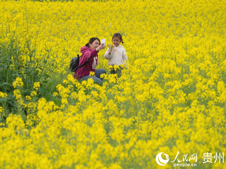 游客駐足于花海中與油菜花合影留念。人民網(wǎng) 陽(yáng)茜攝