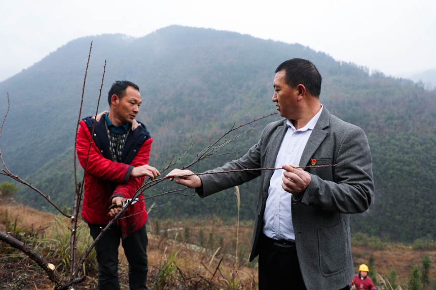 全國人大代表，貴州省石阡縣龍?zhí)伶?zhèn)困牛山村黨支部書記、村委會主任鞠華國（右）與群眾交流果園管護(hù)。楊葉攝
