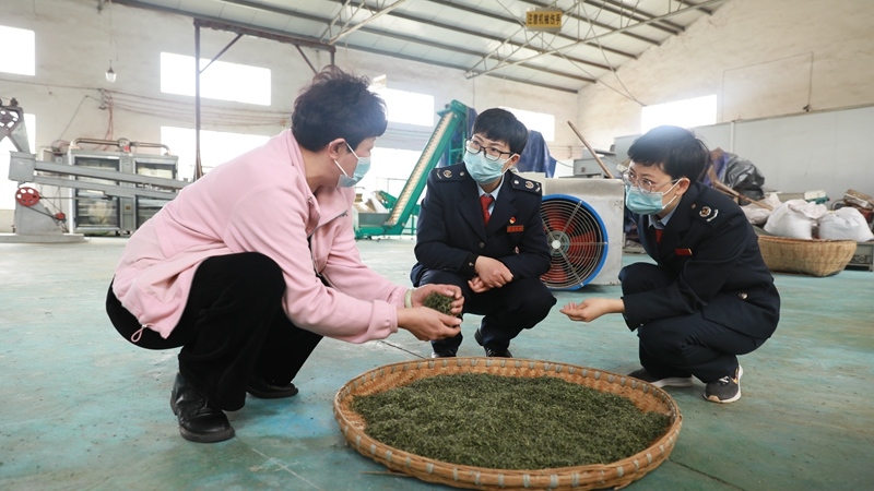 修文縣稅務(wù)局組建“稅務(wù)巾幗服務(wù)隊”在車間開展工作 朱曉慧 攝.jpg