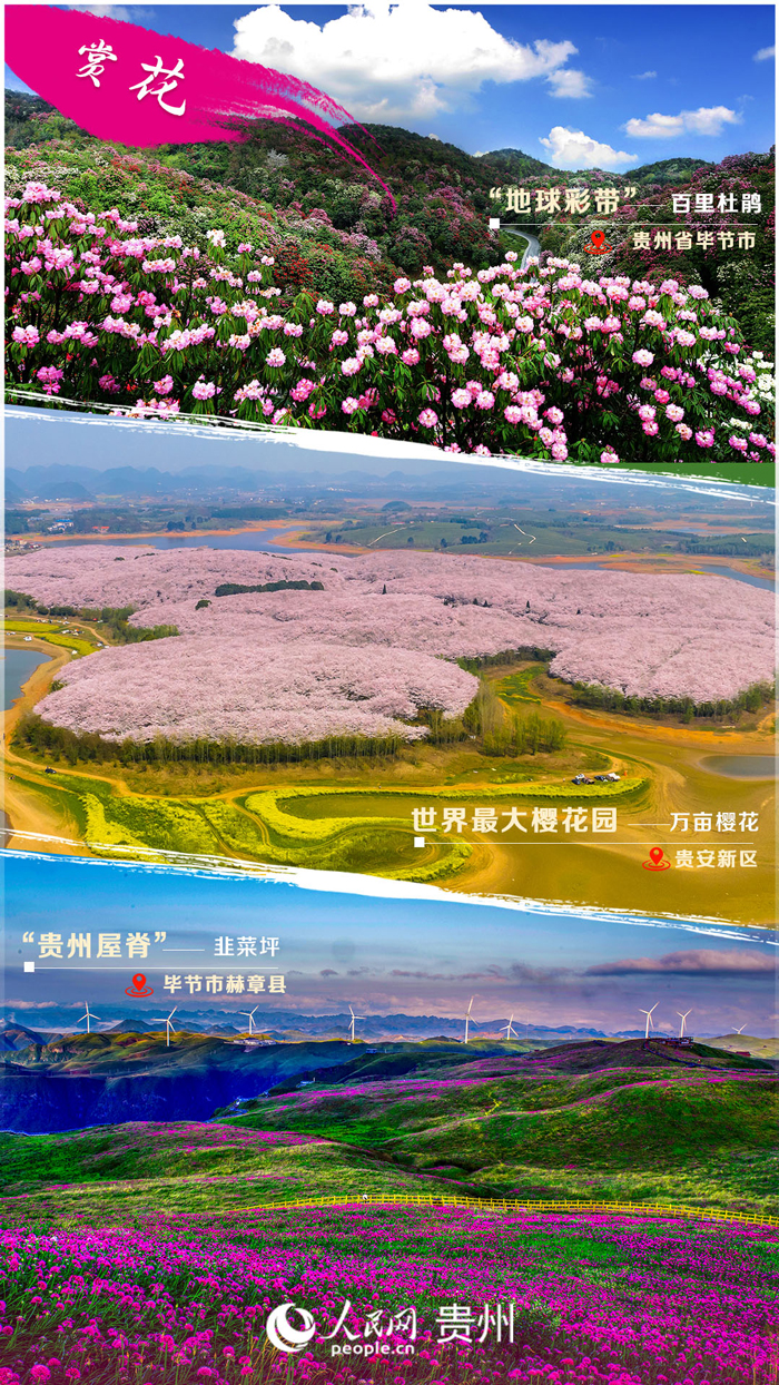 賞花。