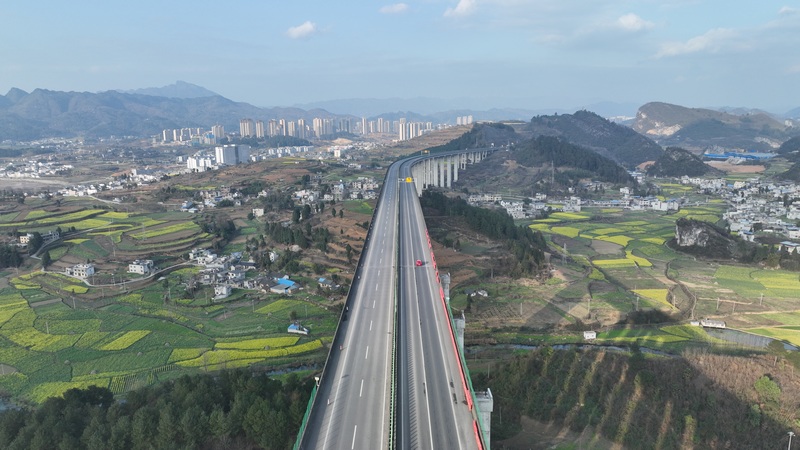 春日時節(jié)的金沙特大橋。陳雪攝