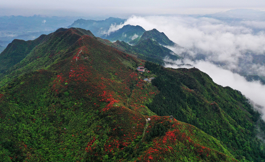 雨后云霧中的丹寨縣龍泉山景色（無(wú)人機(jī)照片）。