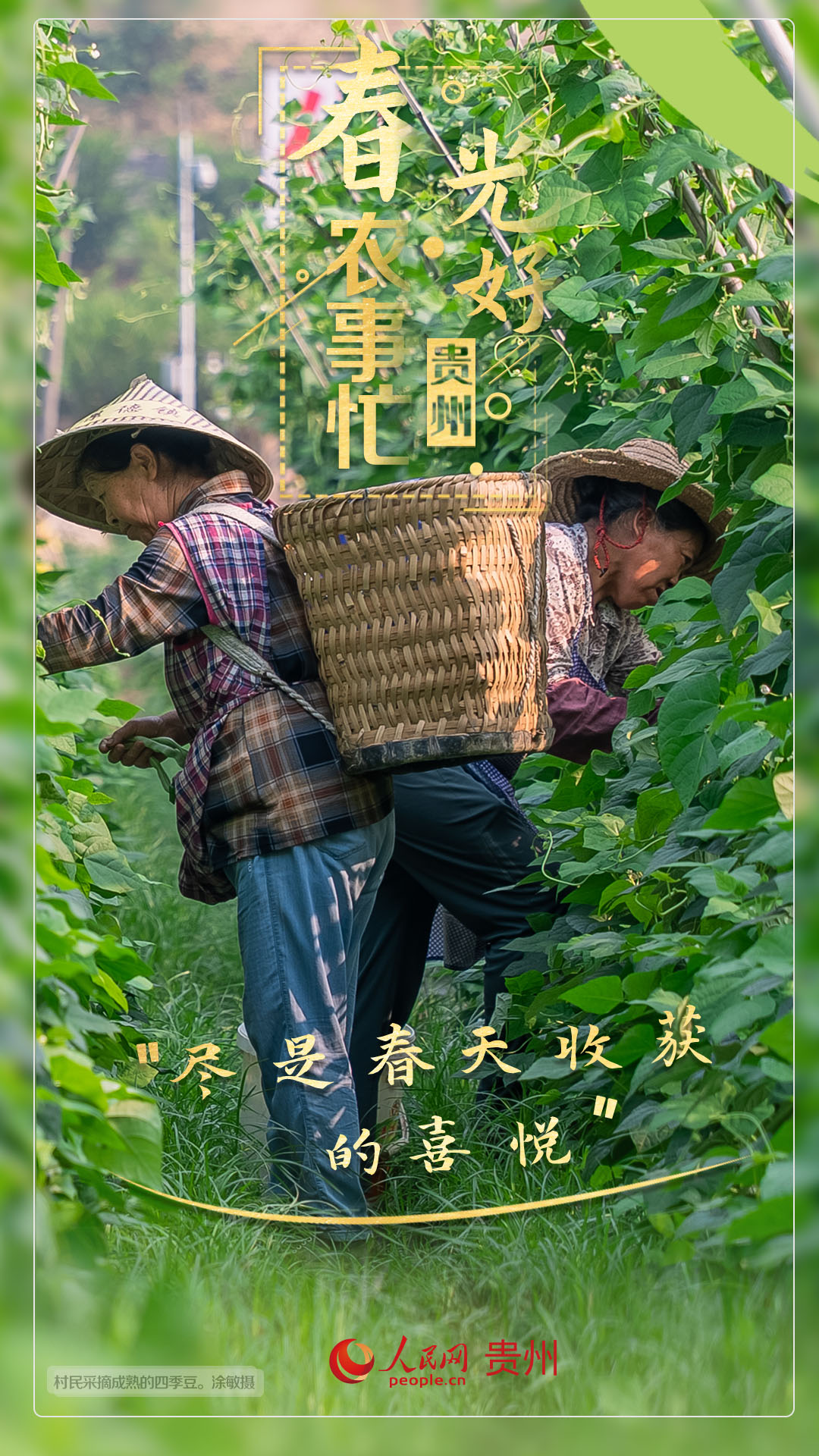 “盡是春天收獲的喜悅”。