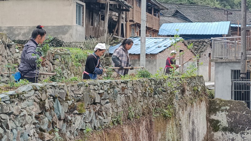 “四大行動(dòng)”為鄉(xiāng)村添“顏值” 。