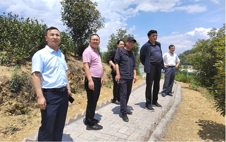 圖為在巴鈴鎮(zhèn)大普村調(diào)研科技服務(wù)示范基地建設(shè)情況。