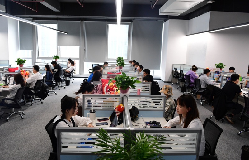 貴陽編程貓科技有限公司。