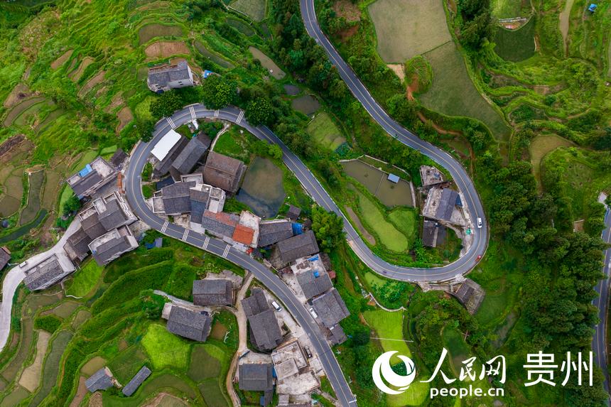 寨前的梯田與旅游公路。人民網(wǎng)記者 涂敏攝