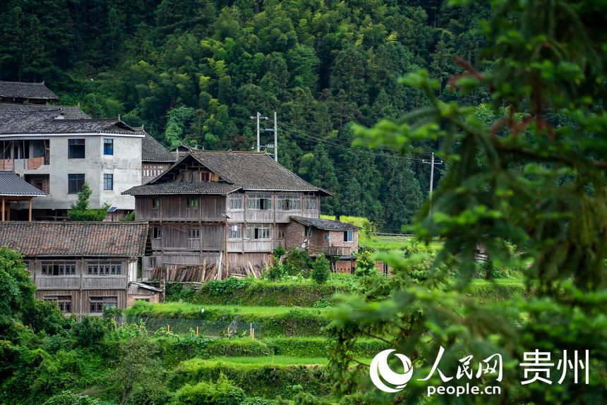 堂安侗寨內(nèi)的木質(zhì)民居。人民網(wǎng)記者 涂敏攝