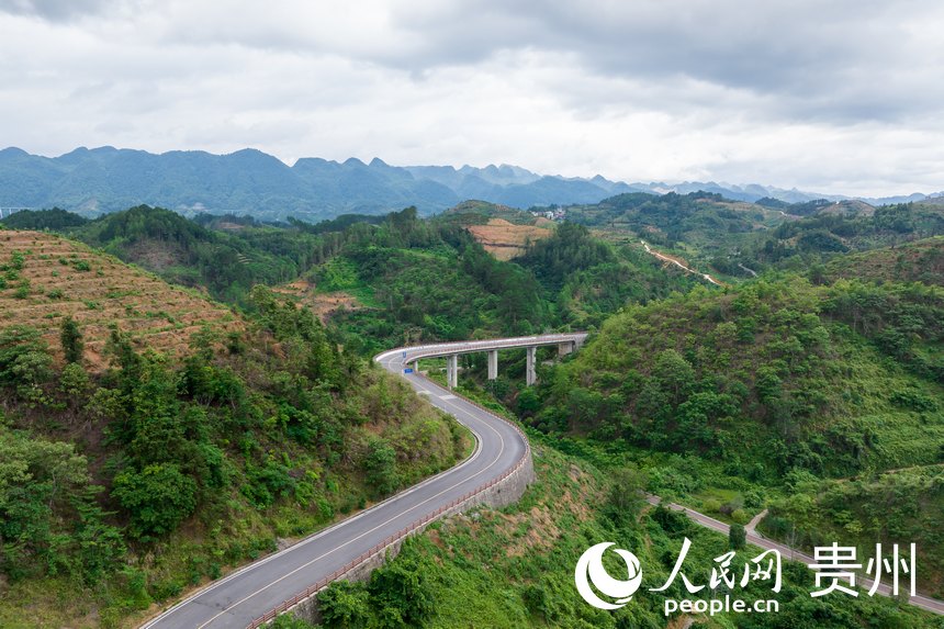 航拍荔波至王蒙至瑤山“共同富裕路”及10萬畝精品水果走廊帶。人民網(wǎng)記者 涂敏攝