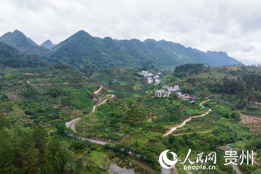 航拍荔波至王蒙至瑤山“共同富裕路”及10萬畝精品水果走廊帶。人民網(wǎng)記者 涂敏攝