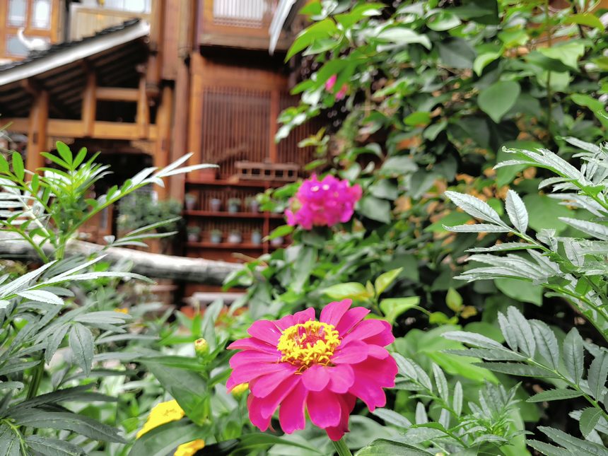 肇興侗寨和美鄉(xiāng)村一角。