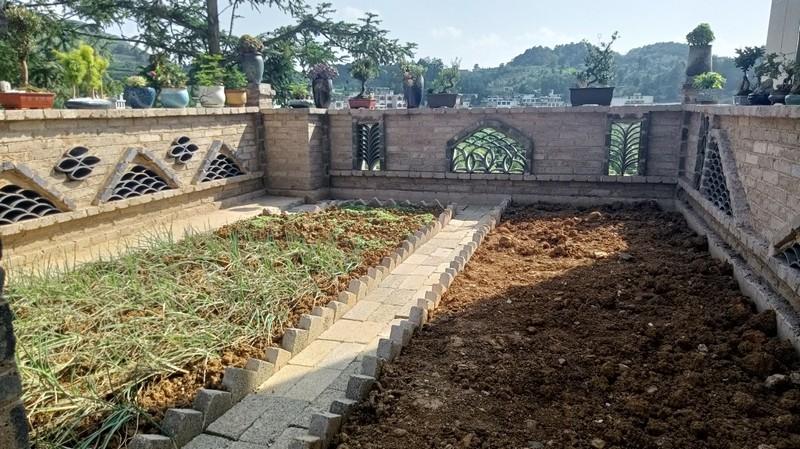 村民家的小菜園。姜繼恒攝