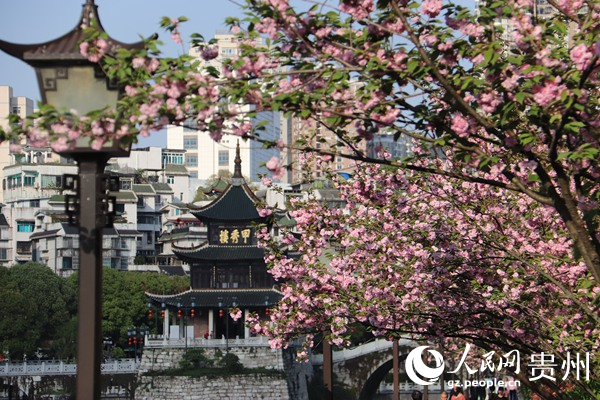春日的南明河畔，生機勃勃。李永馨攝