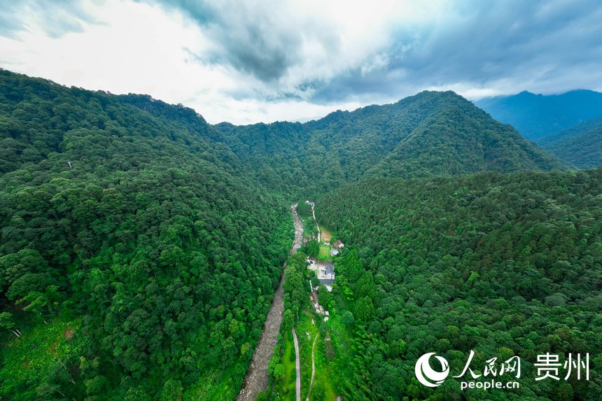 航拍梵凈山國家級自然保護區(qū)野生動物救護中心。人民網(wǎng)記者 涂敏攝