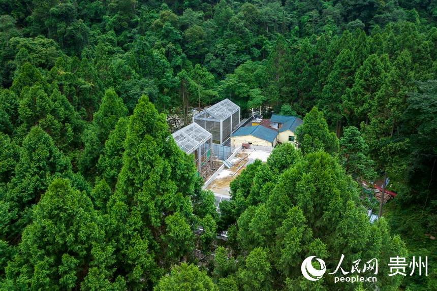 航拍梵凈山國家級自然保護區(qū)野生動物救護中心。人民網(wǎng)記者 涂敏攝