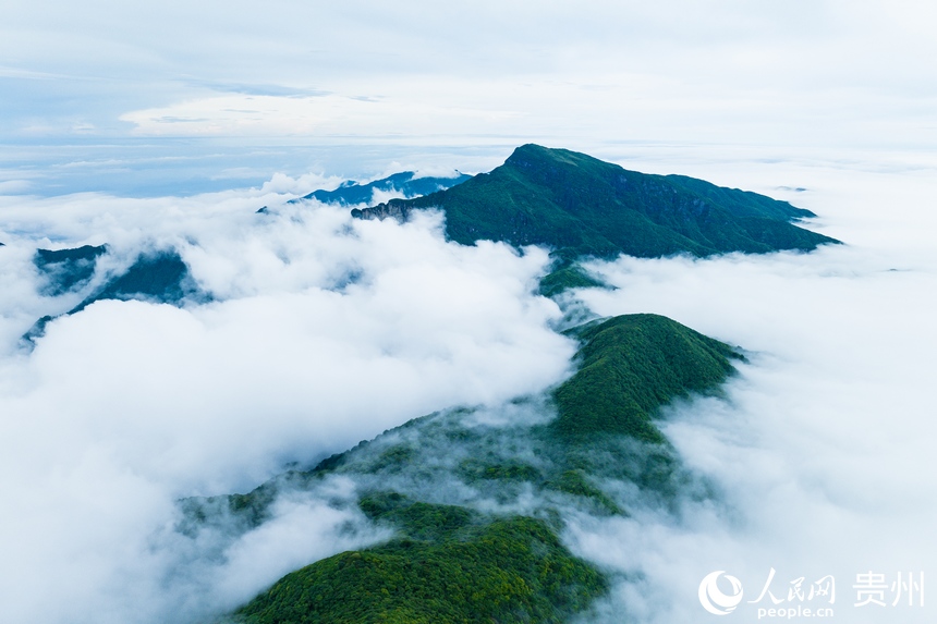 雨后初晴，云霧繚繞的梵凈山。人民網(wǎng)記者 涂敏攝