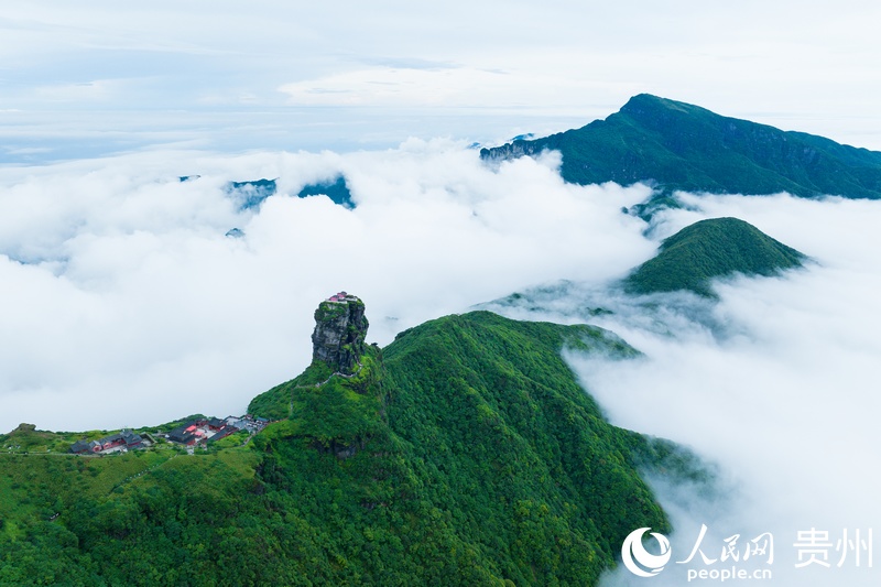 1 航拍貴州銅仁梵凈山。人民網(wǎng)記者 涂敏 攝.jpg