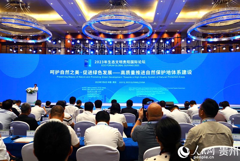 論壇現(xiàn)場。人民網(wǎng) 陽茜攝