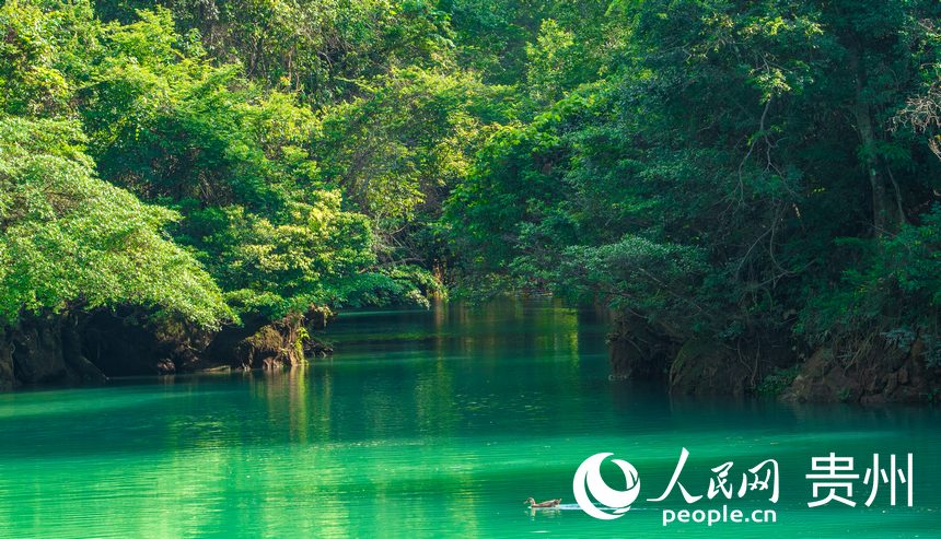 波光粼粼的湖面。人民網(wǎng) 陽茜攝