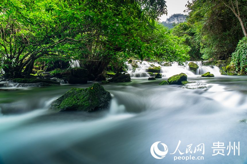 貴州茂蘭國(guó)家級(jí)自然保護(hù)區(qū)內(nèi)的溪流。人民網(wǎng) 涂敏攝