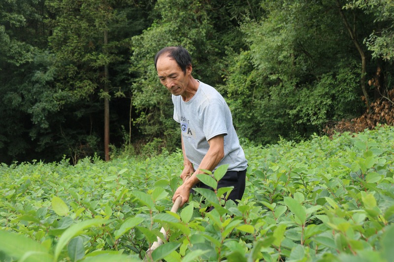 村民務(wù)工。